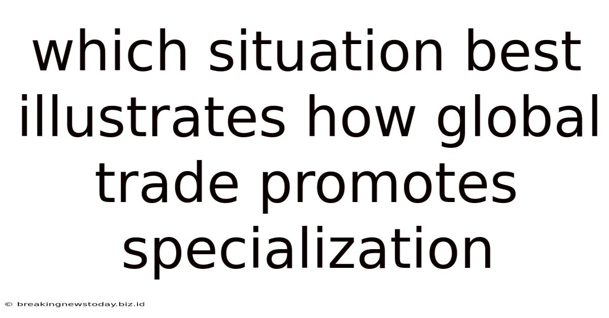 Which Situation Best Illustrates How Global Trade Promotes Specialization