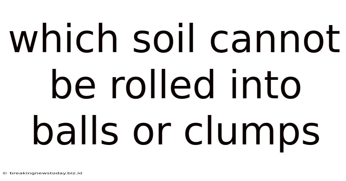 Which Soil Cannot Be Rolled Into Balls Or Clumps