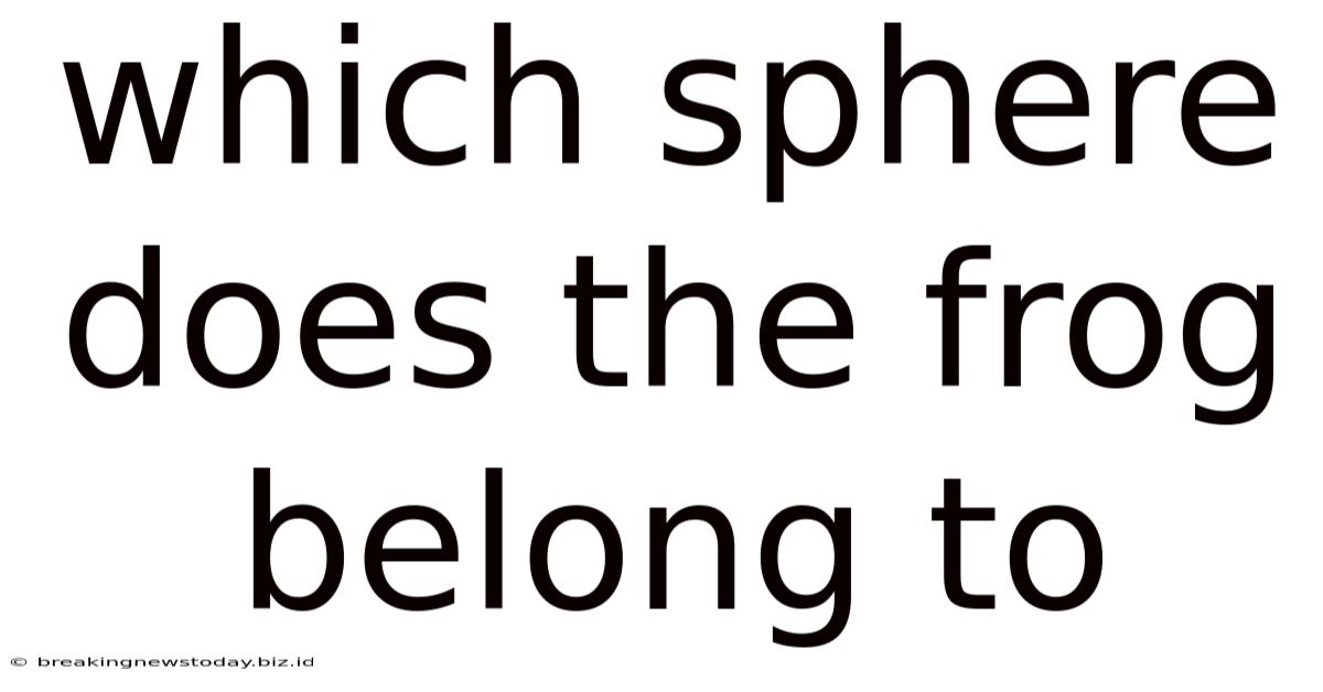 Which Sphere Does The Frog Belong To