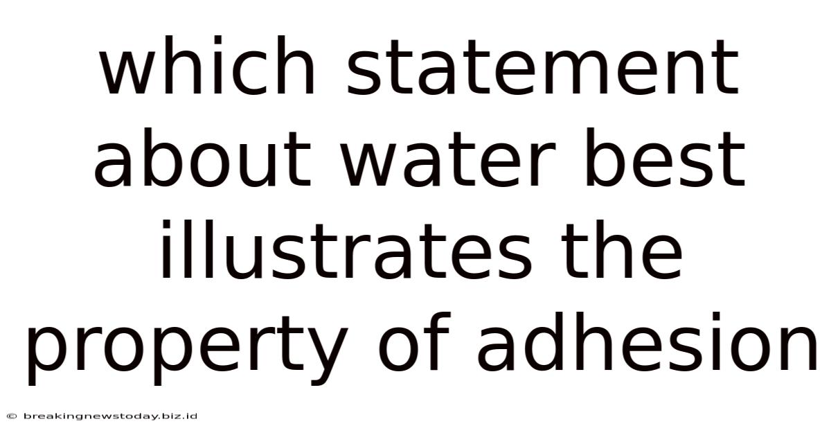 Which Statement About Water Best Illustrates The Property Of Adhesion