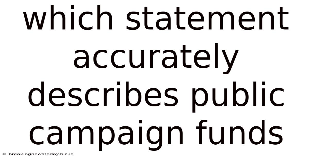 Which Statement Accurately Describes Public Campaign Funds