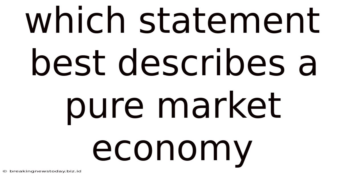 Which Statement Best Describes A Pure Market Economy