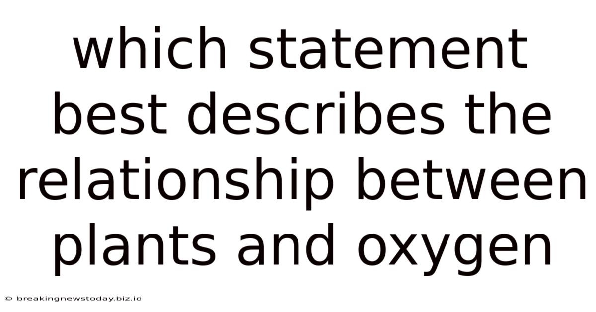 Which Statement Best Describes The Relationship Between Plants And Oxygen