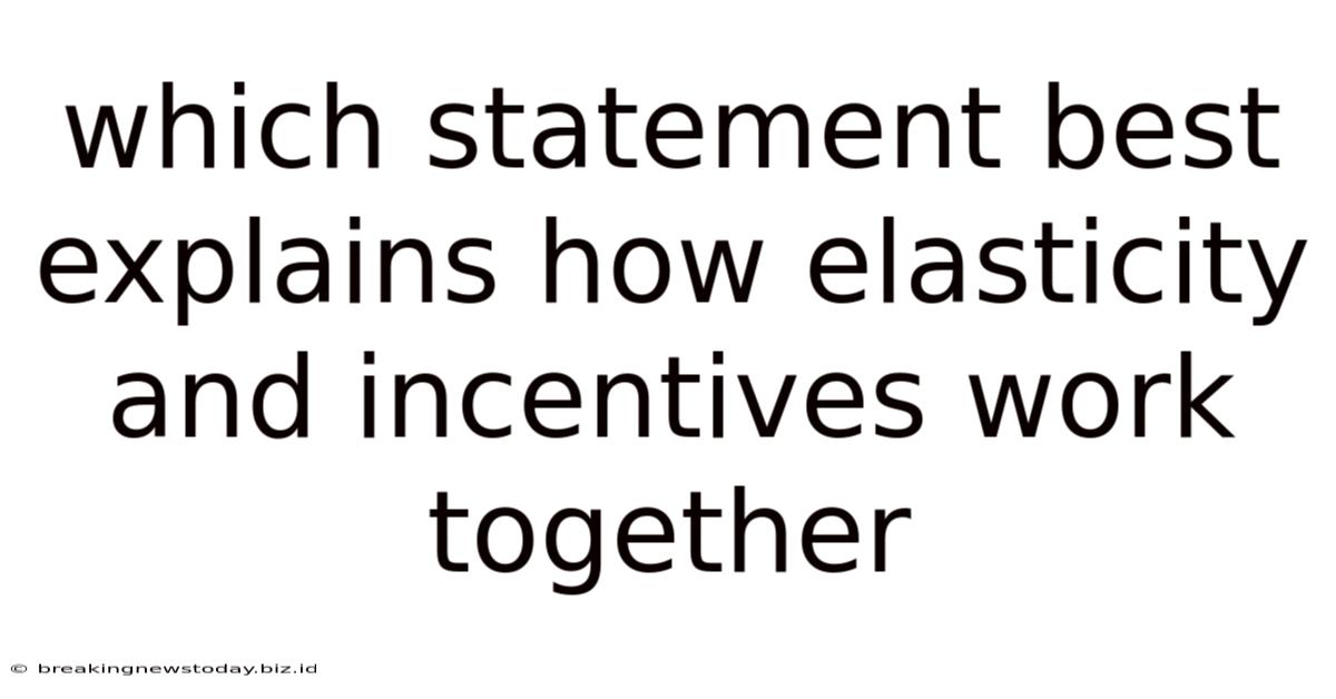 Which Statement Best Explains How Elasticity And Incentives Work Together