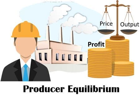 Which Statement Best Explains The Role Of Producers In Economics