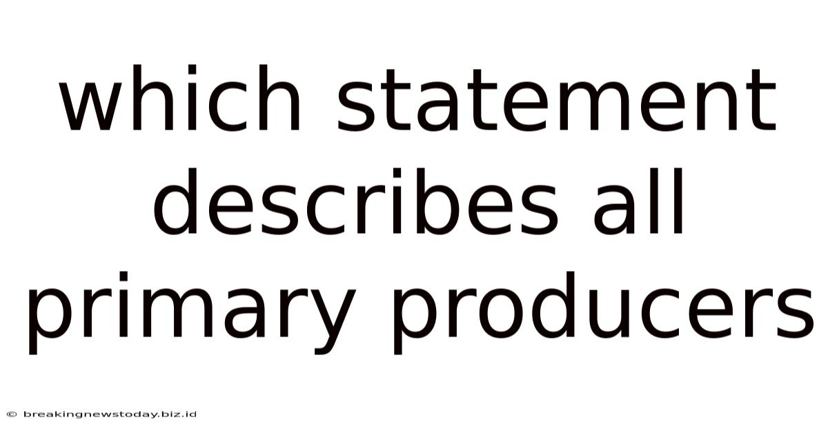 Which Statement Describes All Primary Producers