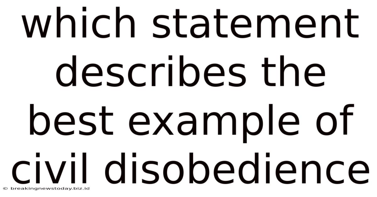 Which Statement Describes The Best Example Of Civil Disobedience