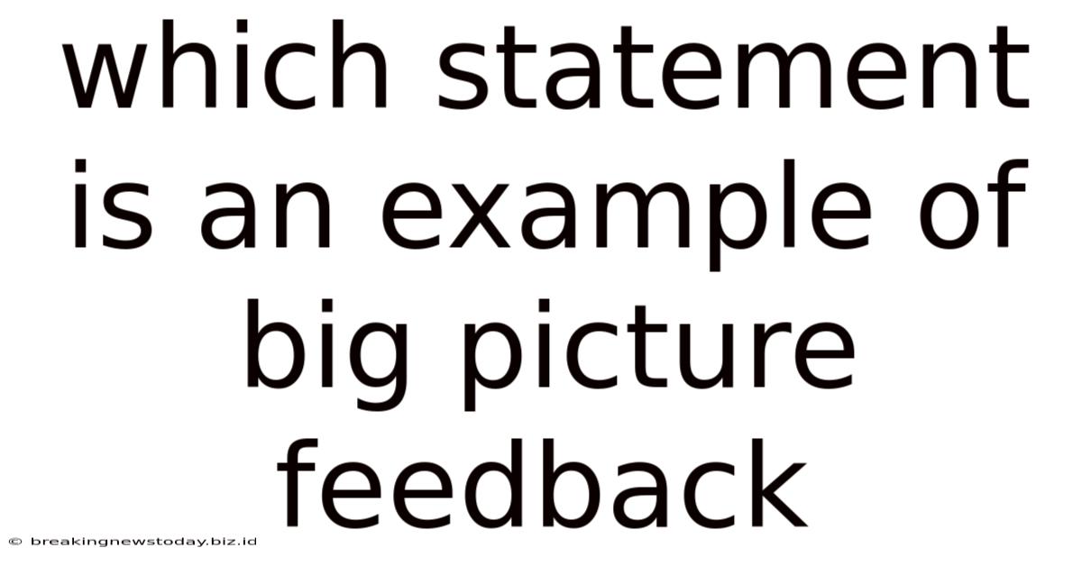 Which Statement Is An Example Of Big Picture Feedback