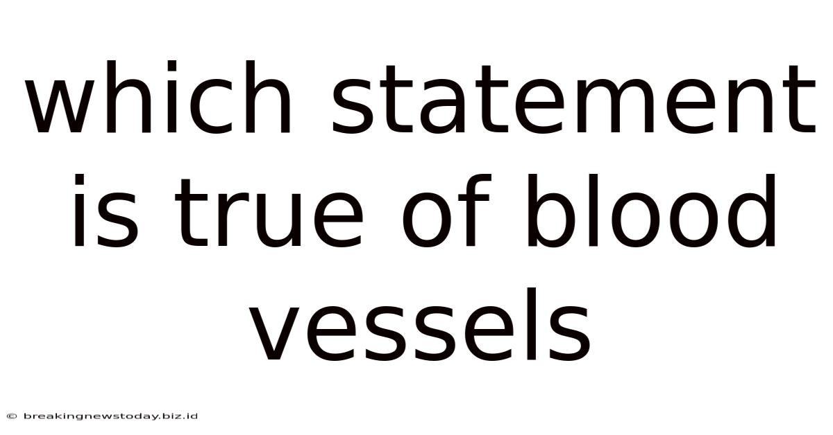 Which Statement Is True Of Blood Vessels