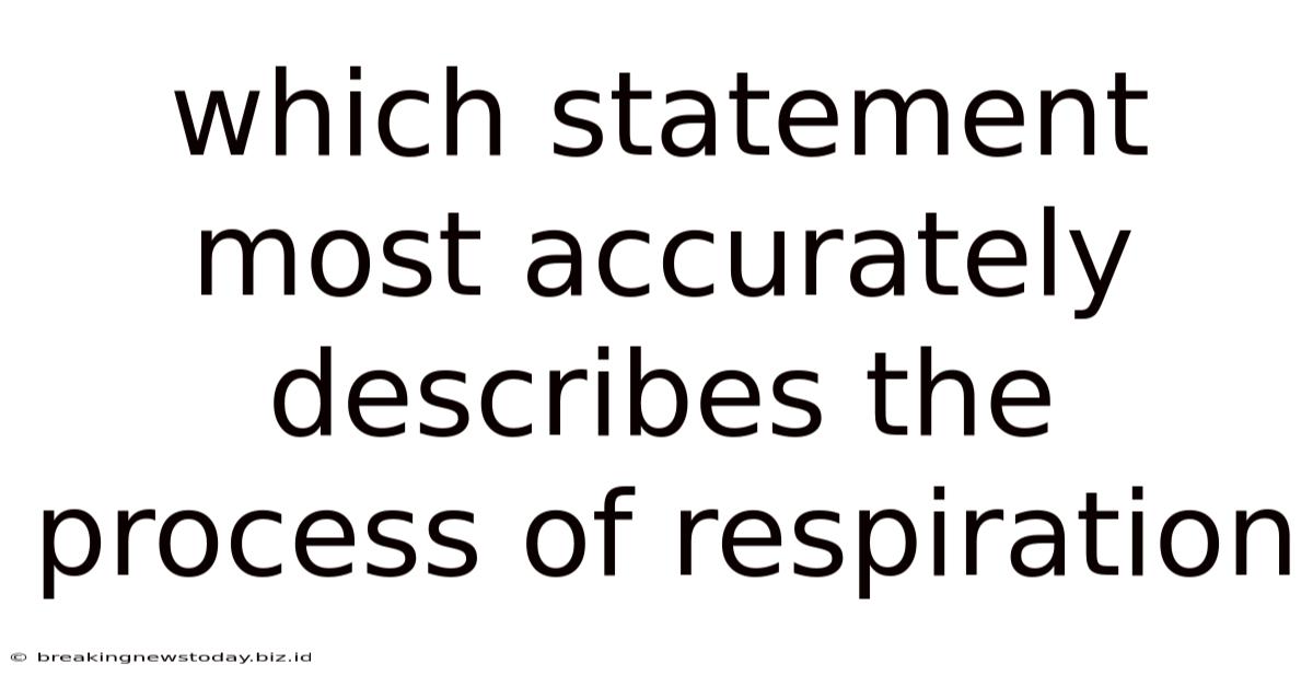 Which Statement Most Accurately Describes The Process Of Respiration
