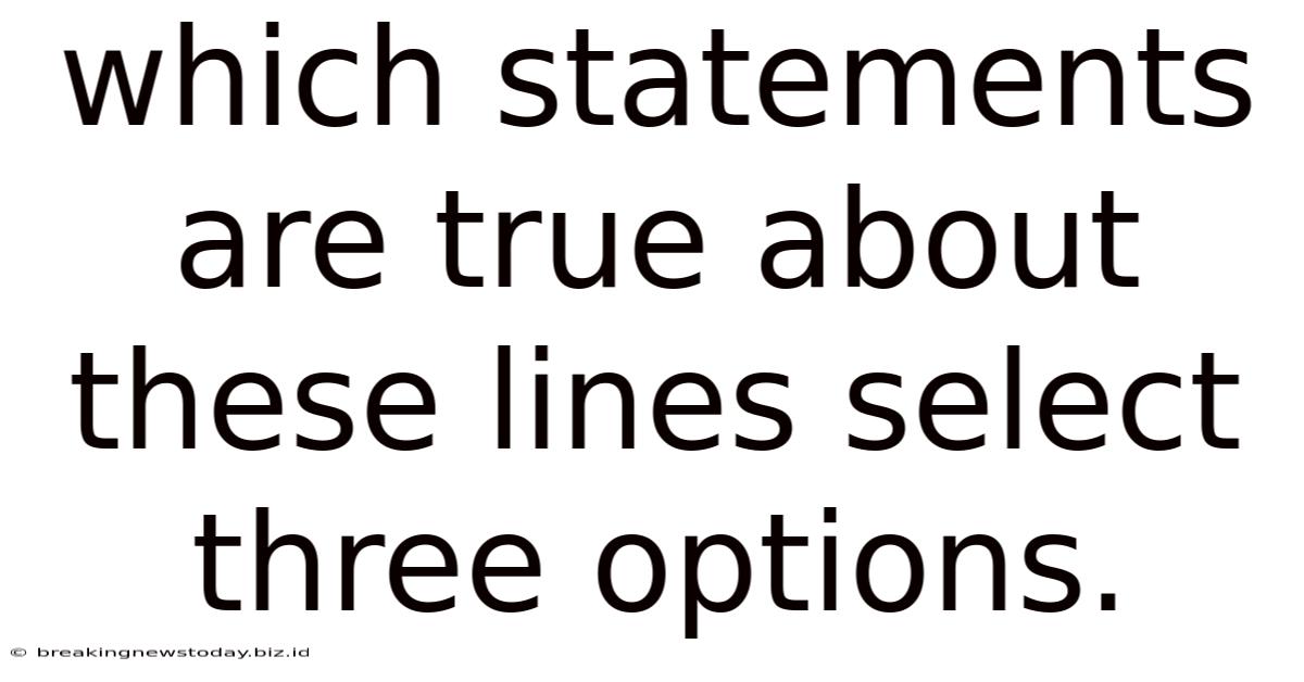 Which Statements Are True About These Lines Select Three Options.