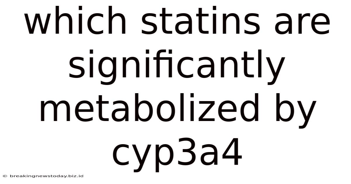 Which Statins Are Significantly Metabolized By Cyp3a4