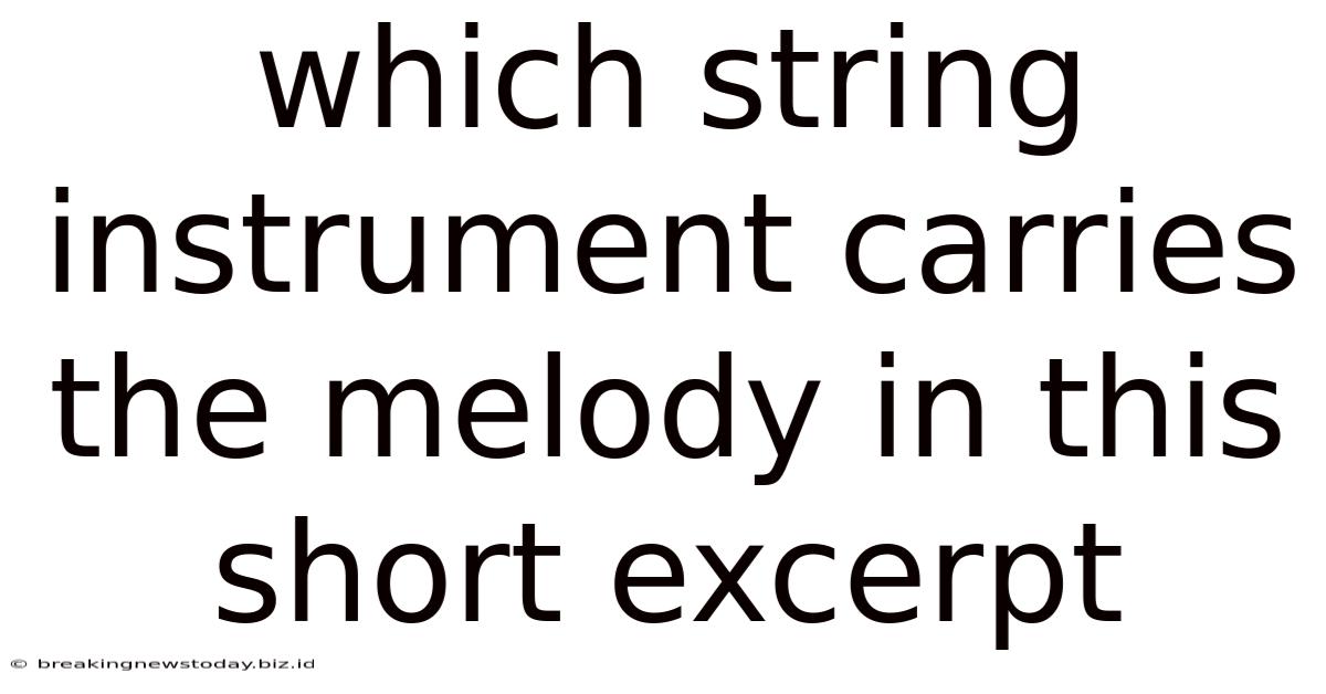 Which String Instrument Carries The Melody In This Short Excerpt