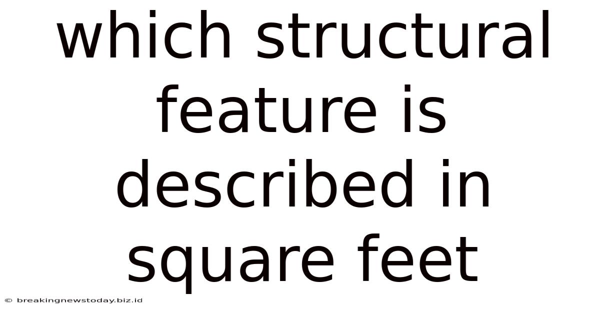 Which Structural Feature Is Described In Square Feet
