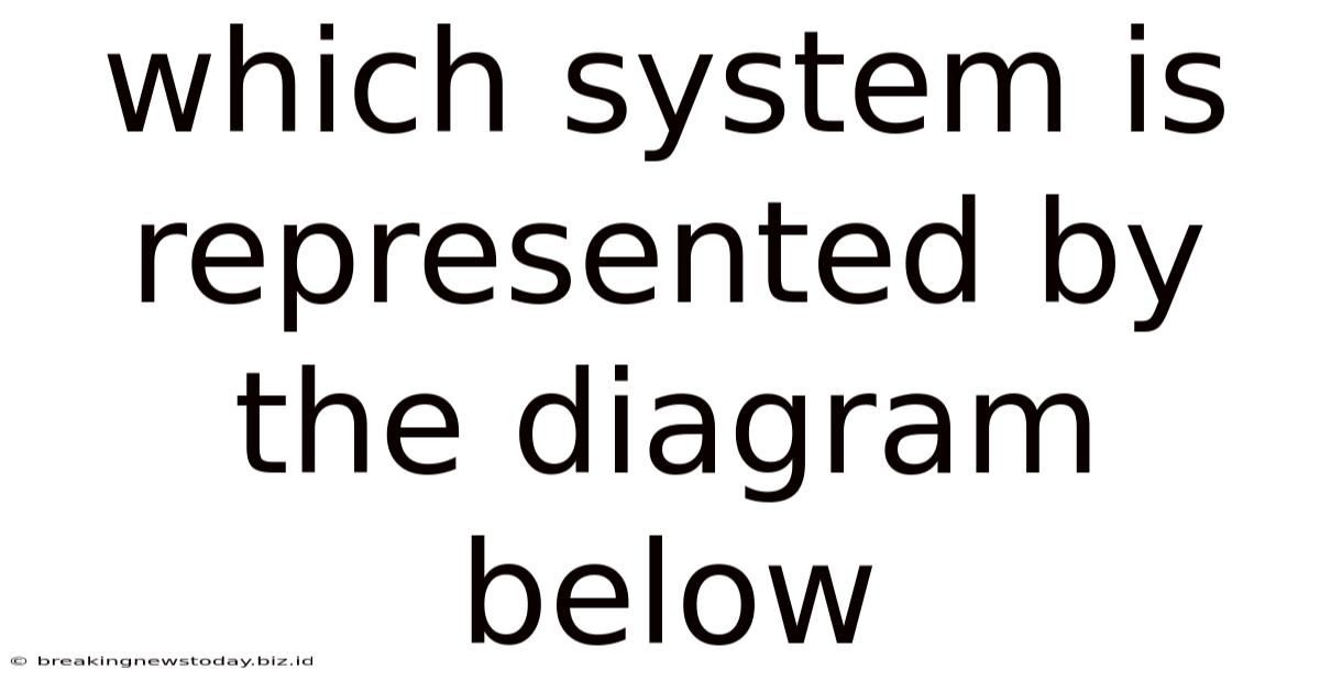 Which System Is Represented By The Diagram Below