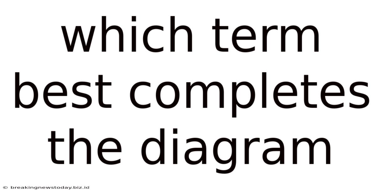 Which Term Best Completes The Diagram