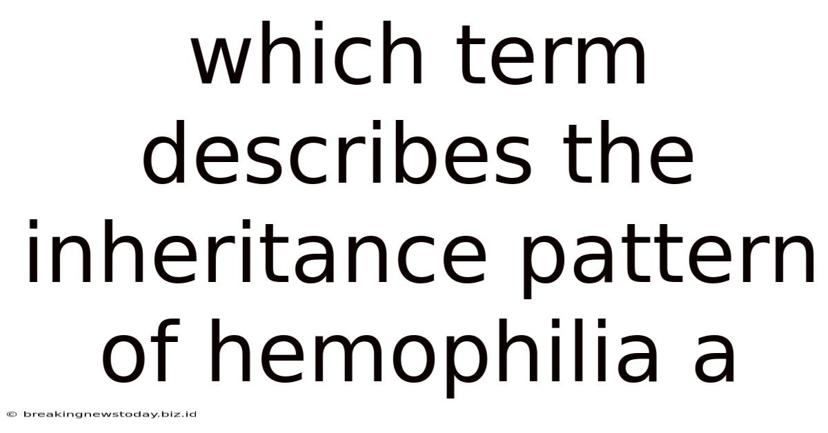 Which Term Describes The Inheritance Pattern Of Hemophilia A