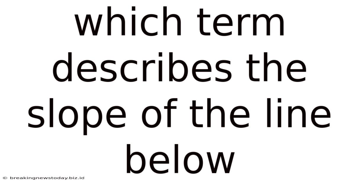 Which Term Describes The Slope Of The Line Below