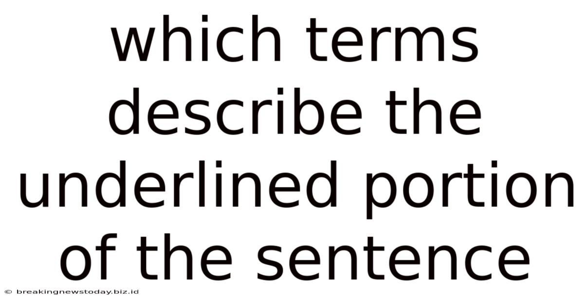 Which Terms Describe The Underlined Portion Of The Sentence