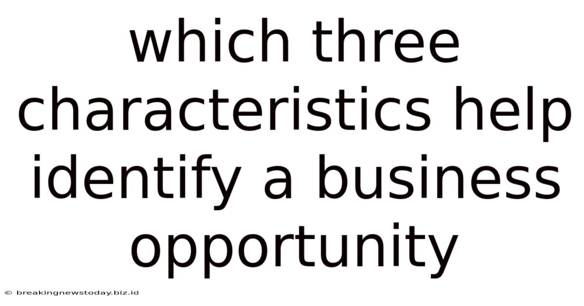 Which Three Characteristics Help Identify A Business Opportunity