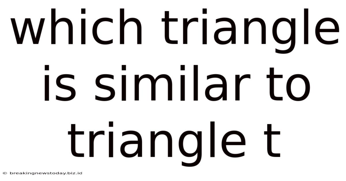 Which Triangle Is Similar To Triangle T