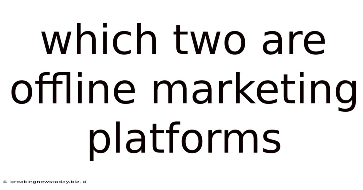 Which Two Are Offline Marketing Platforms