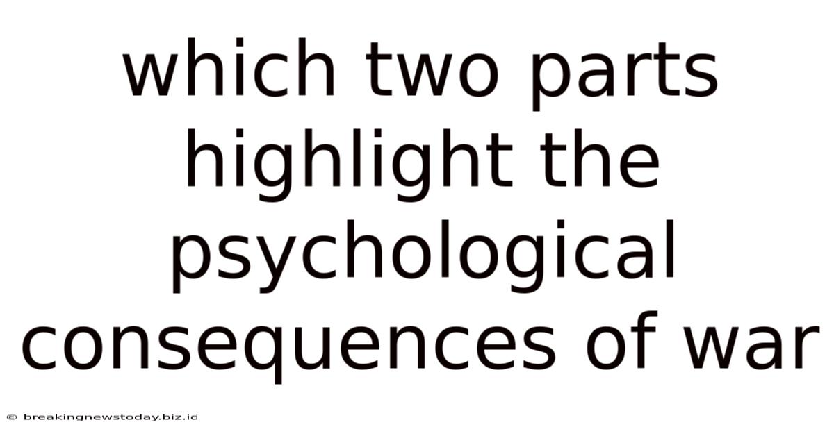 Which Two Parts Highlight The Psychological Consequences Of War