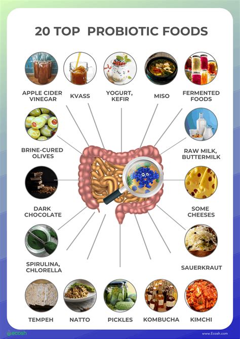 Which Type Of Food Best Supports The Growth Of Bacteria