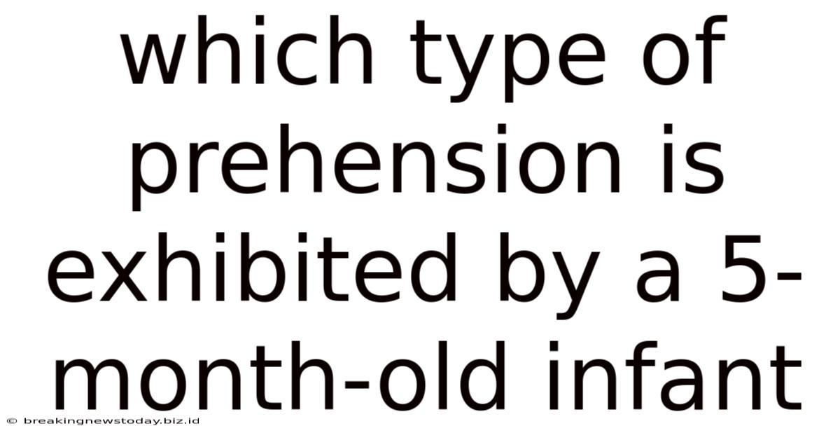 Which Type Of Prehension Is Exhibited By A 5-month-old Infant