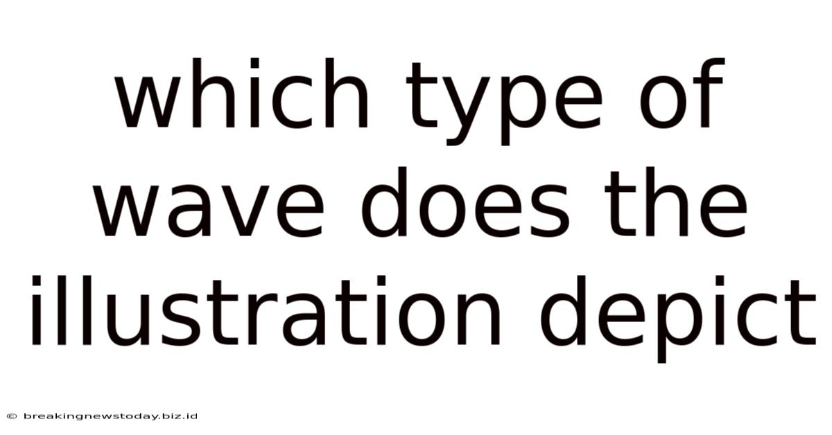 Which Type Of Wave Does The Illustration Depict