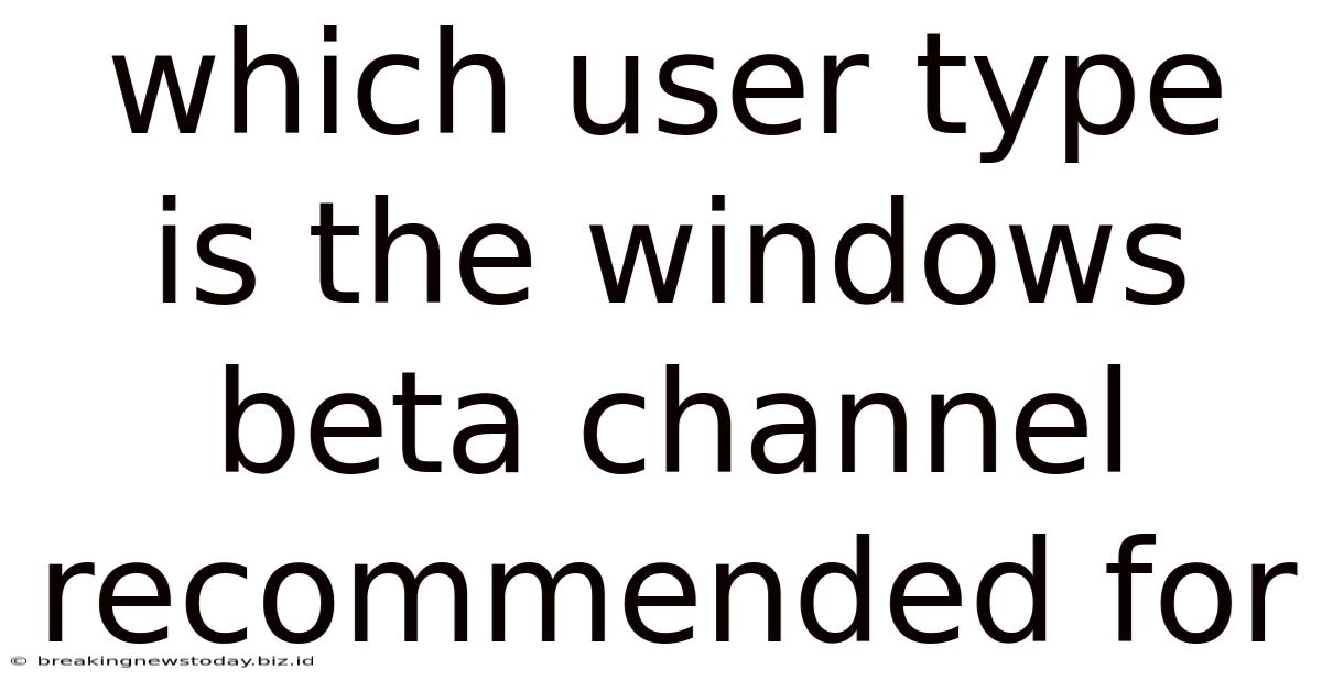 Which User Type Is The Windows Beta Channel Recommended For