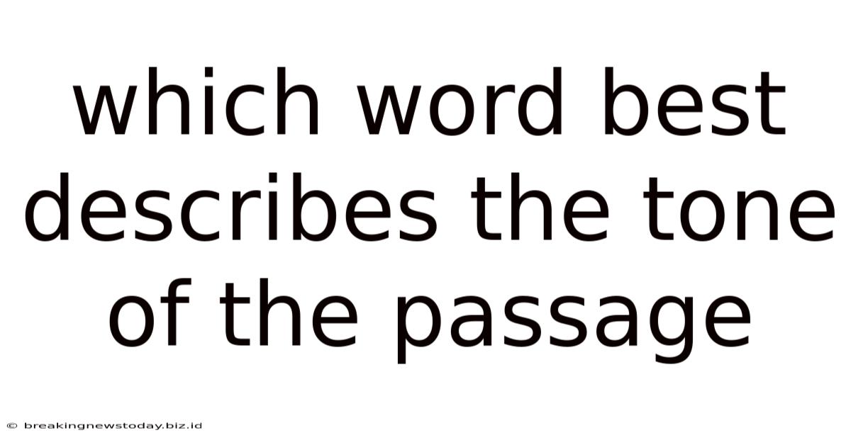 Which Word Best Describes The Tone Of The Passage
