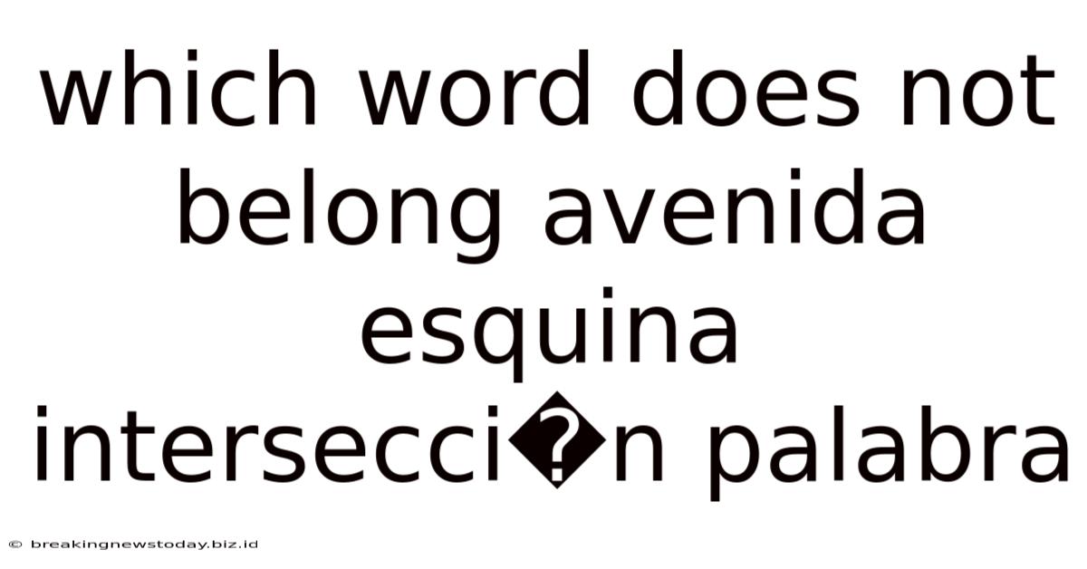 Which Word Does Not Belong Avenida Esquina Intersecci�n Palabra