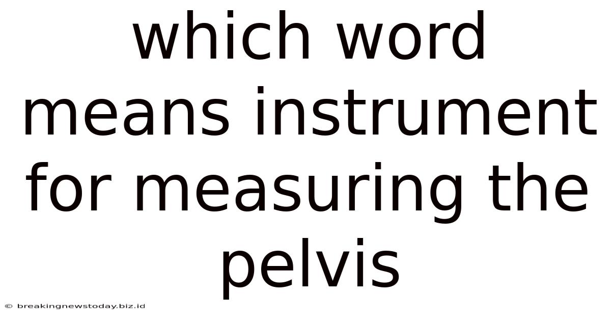 Which Word Means Instrument For Measuring The Pelvis