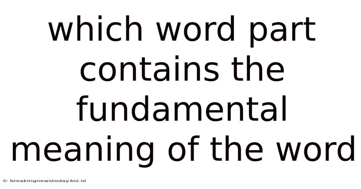 Which Word Part Contains The Fundamental Meaning Of The Word