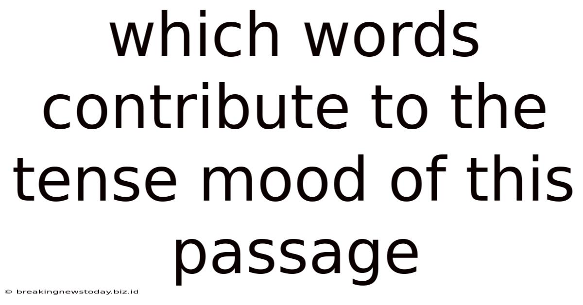 Which Words Contribute To The Tense Mood Of This Passage