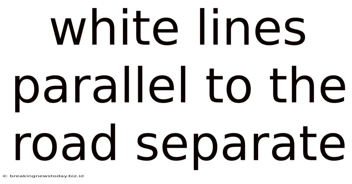 White Lines Parallel To The Road Separate