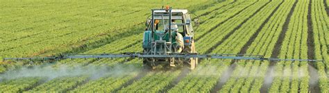 Who Can Apply Pesticides In A Food Service Establishment