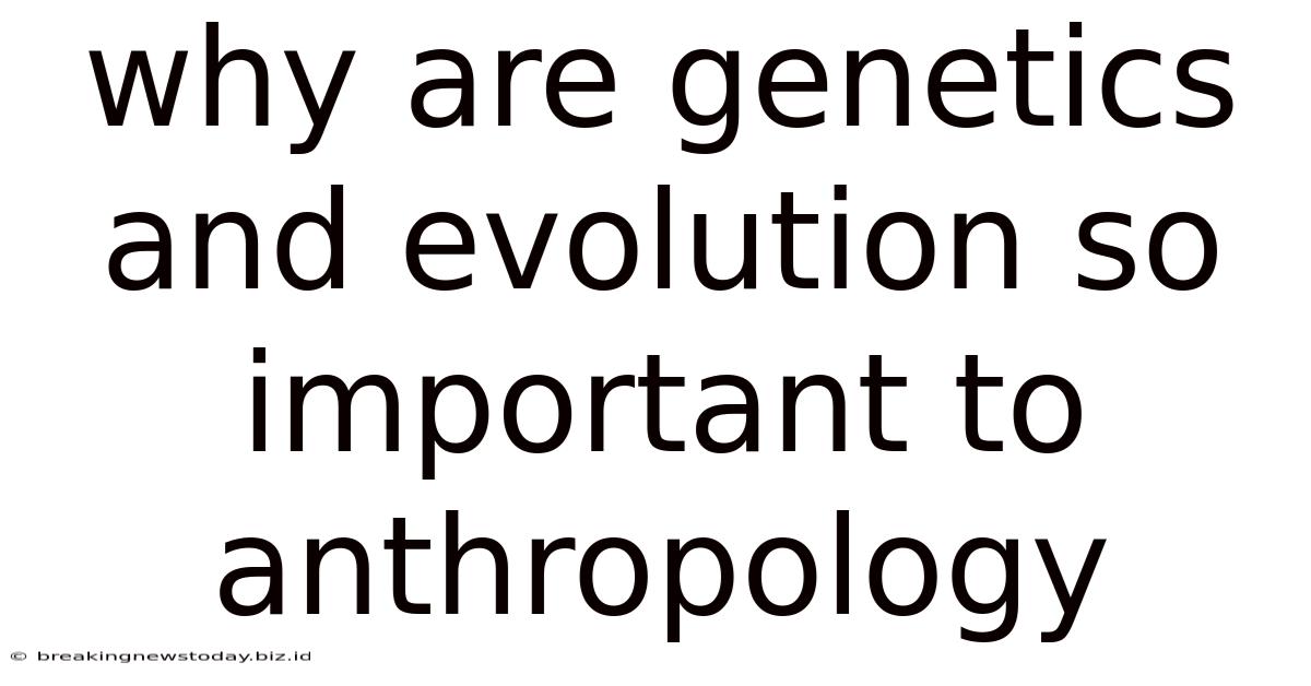 Why Are Genetics And Evolution So Important To Anthropology