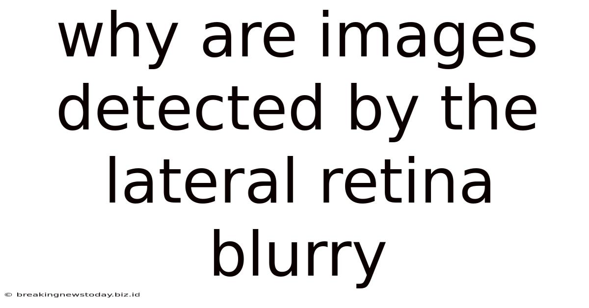 Why Are Images Detected By The Lateral Retina Blurry