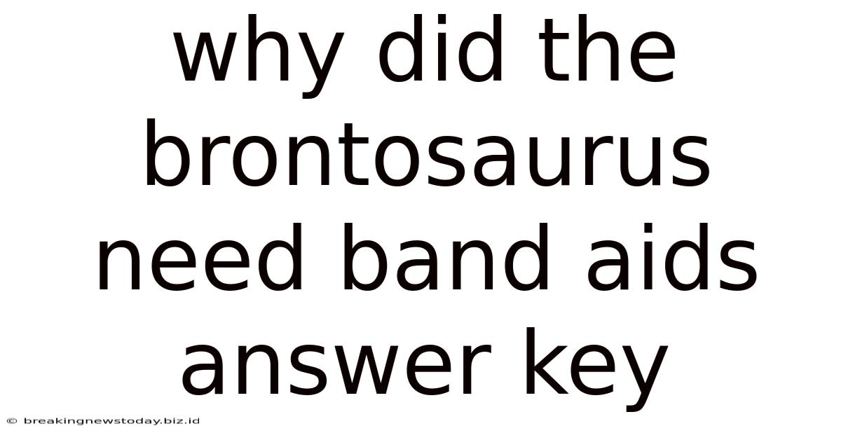 Why Did The Brontosaurus Need Band Aids Answer Key