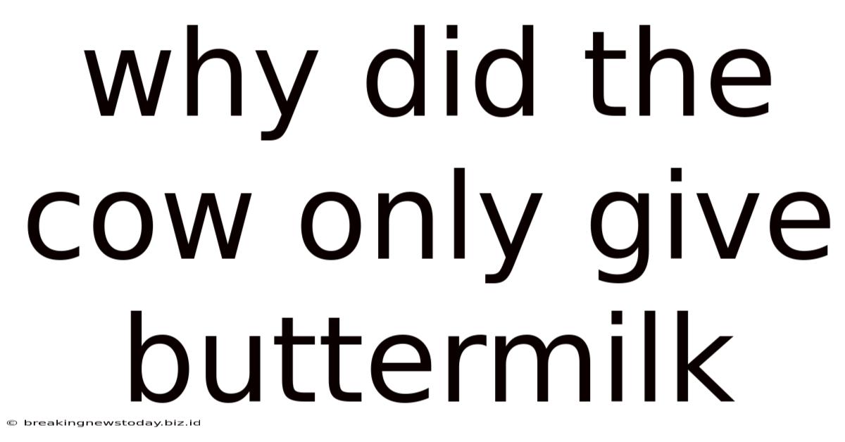 Why Did The Cow Only Give Buttermilk