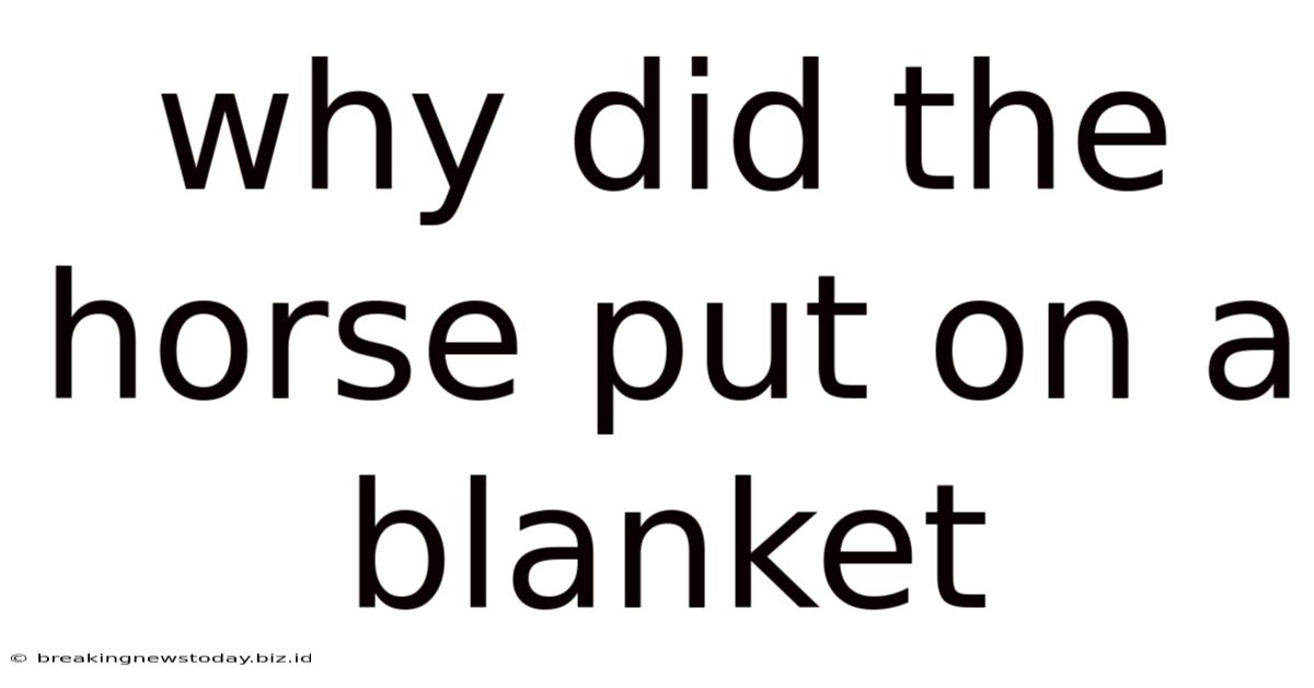 Why Did The Horse Put On A Blanket