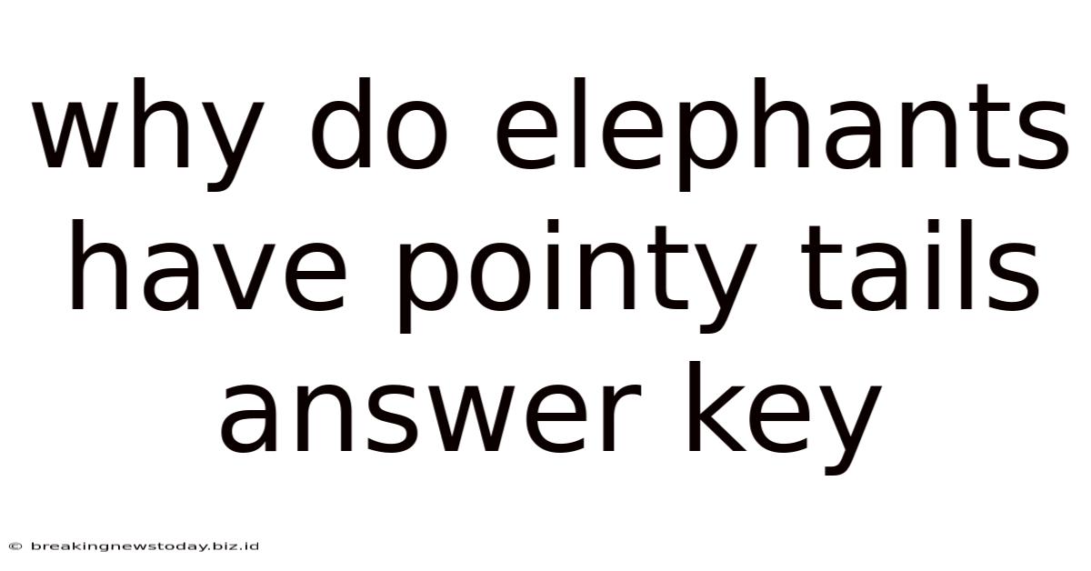 Why Do Elephants Have Pointy Tails Answer Key
