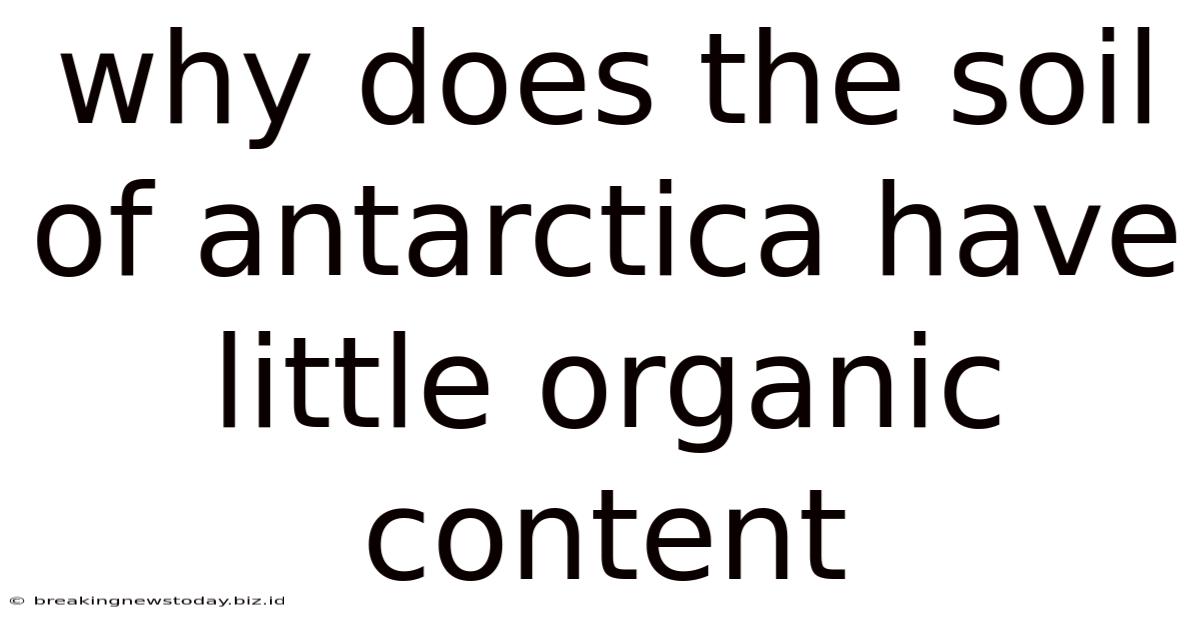 Why Does The Soil Of Antarctica Have Little Organic Content