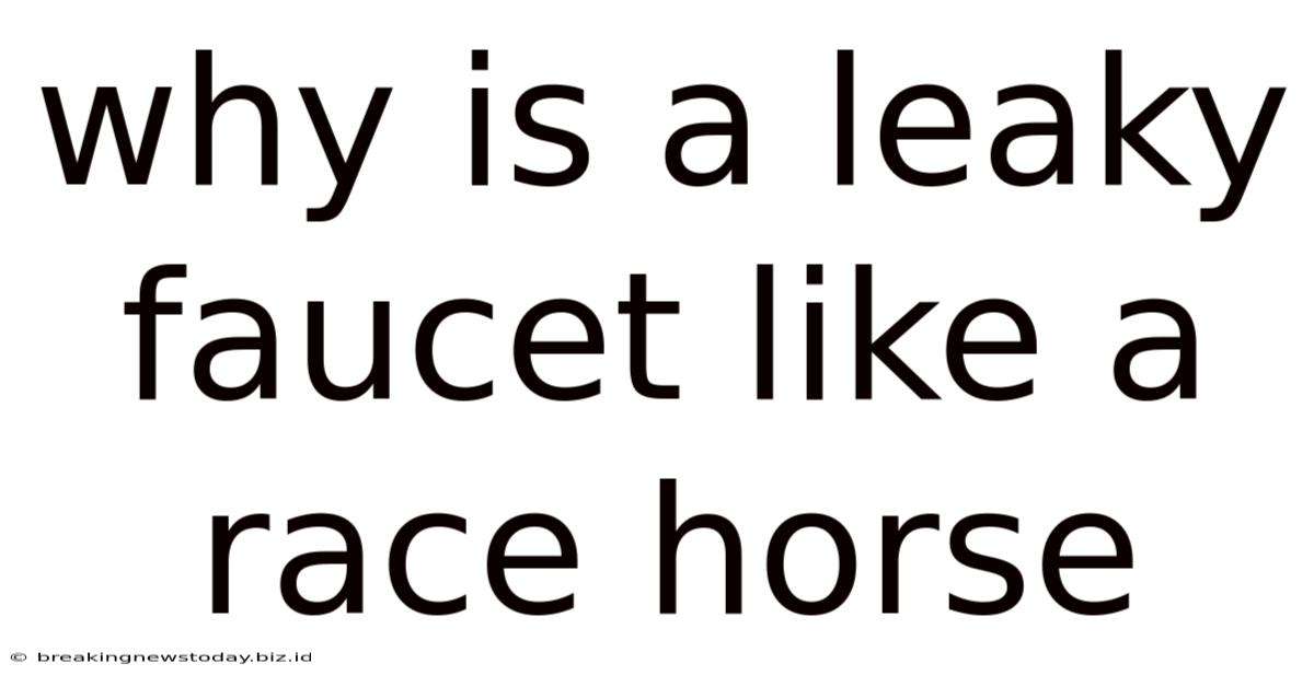 Why Is A Leaky Faucet Like A Race Horse