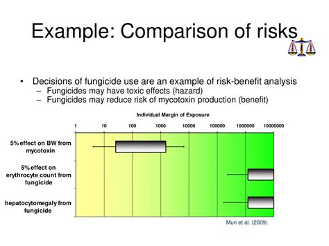 Why Is Cumulative Risk A Serious Concern