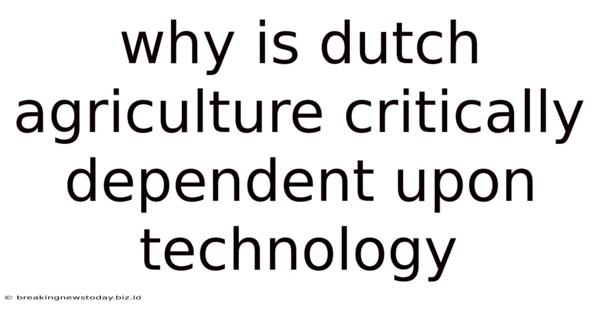 Why Is Dutch Agriculture Critically Dependent Upon Technology