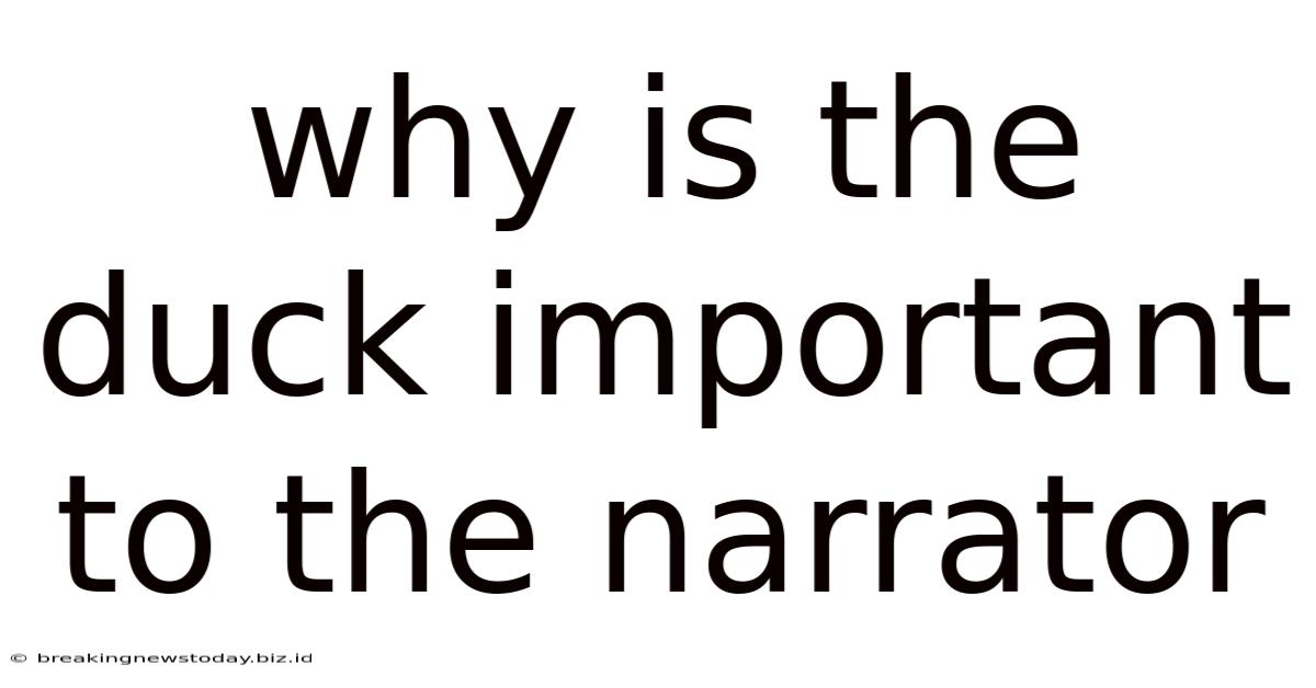Why Is The Duck Important To The Narrator