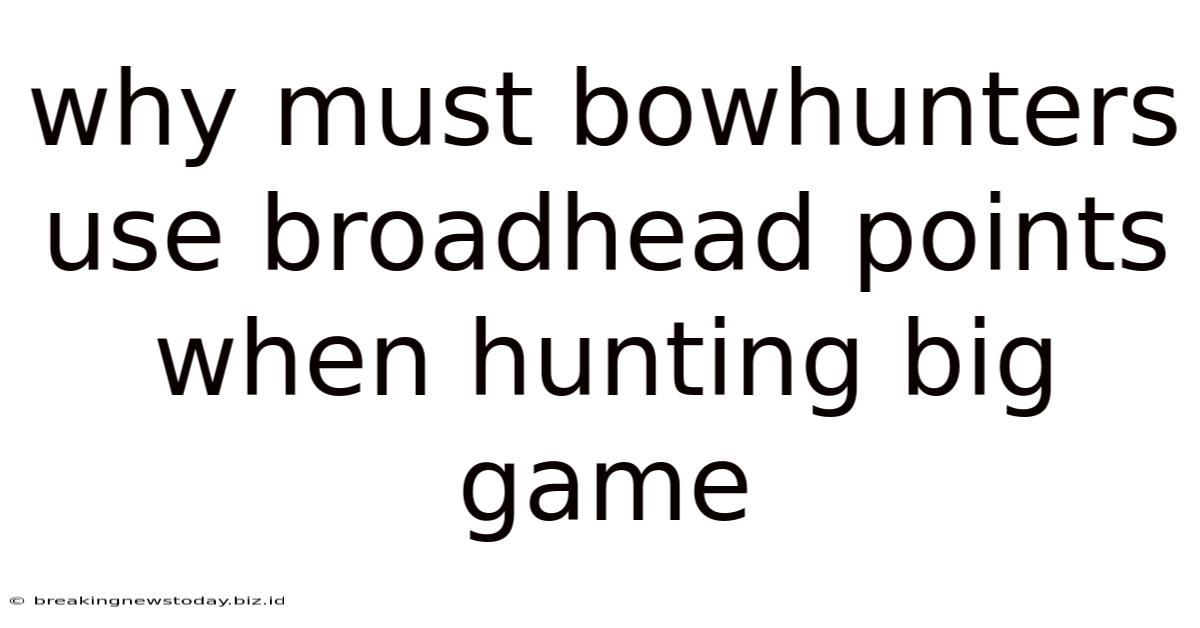 Why Must Bowhunters Use Broadhead Points When Hunting Big Game